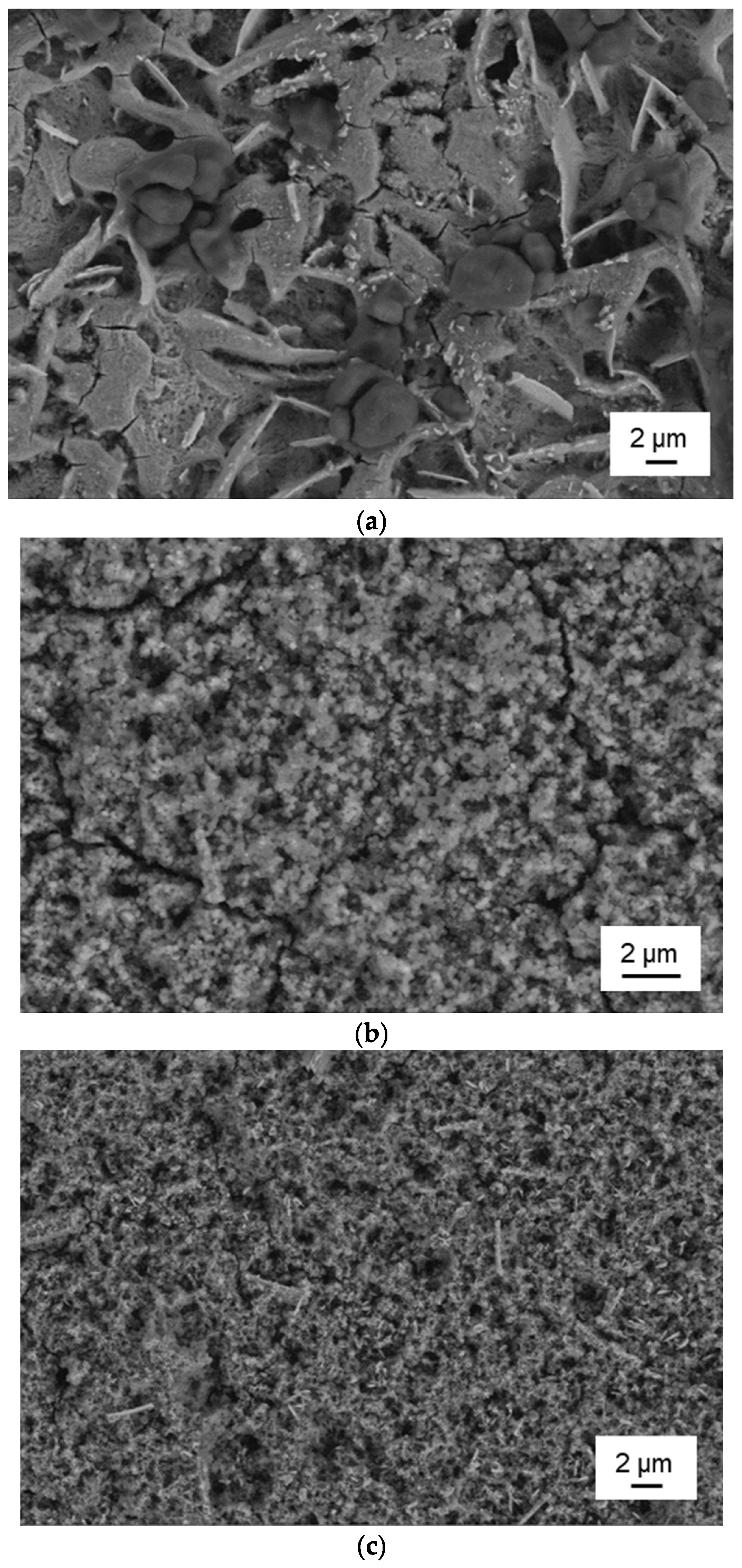 Technologies 13 00301 g003