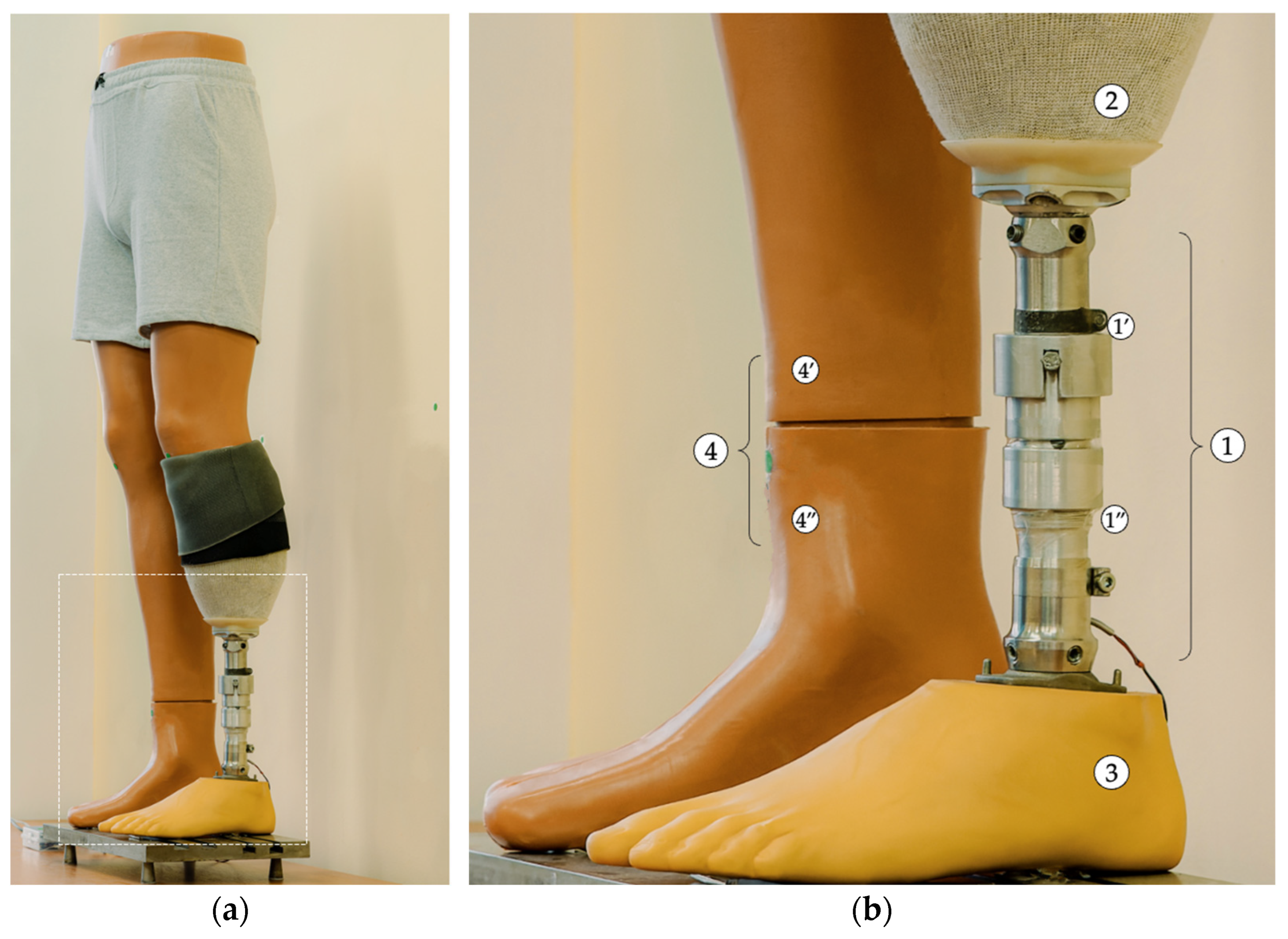 Technologies 13 00319 g005