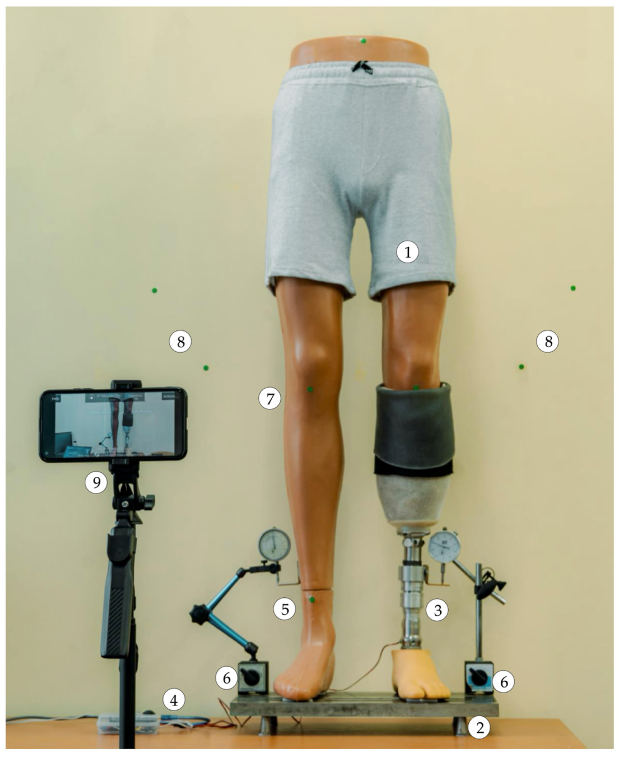 Technologies 13 00319 g008