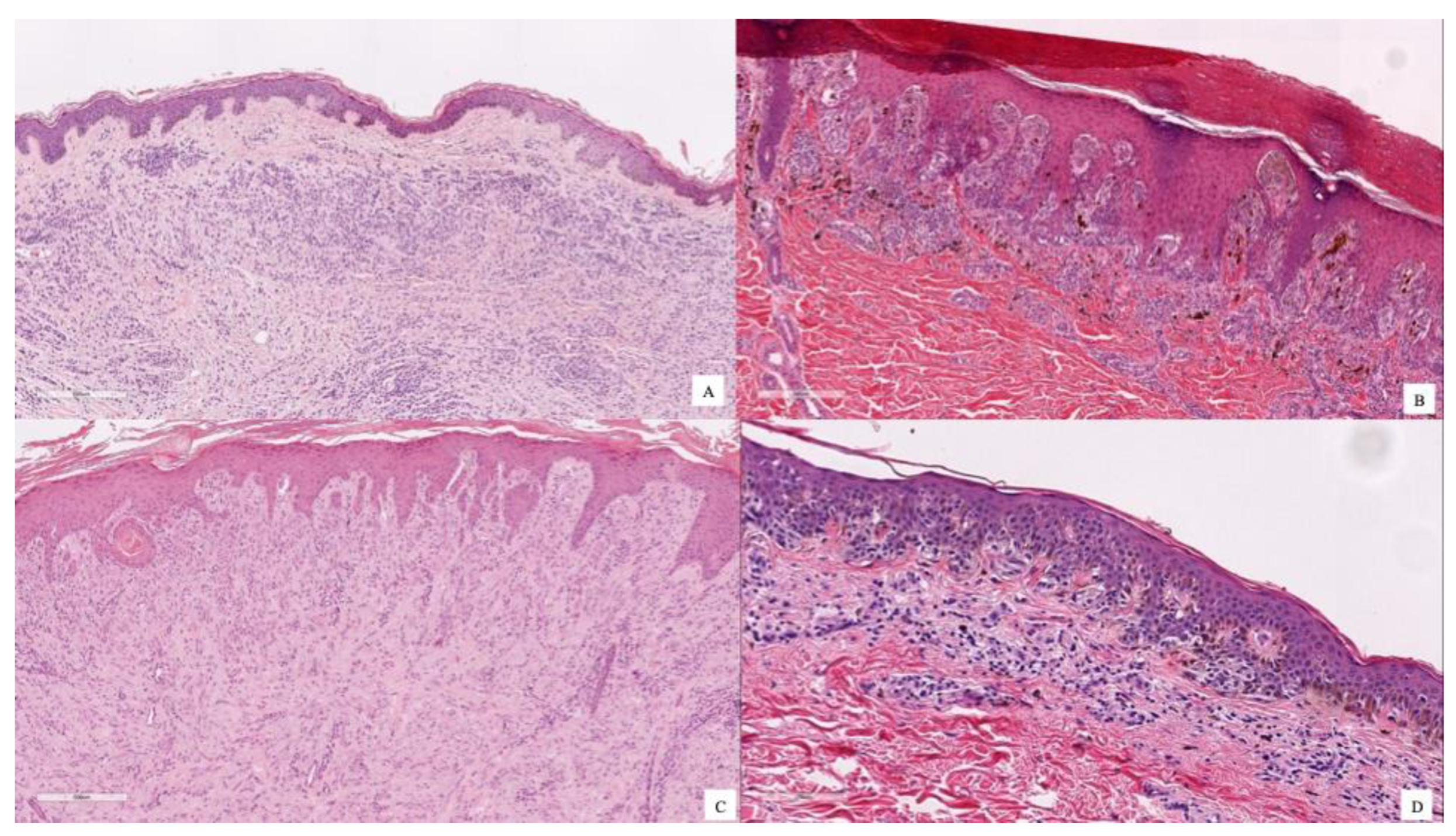 Technologies 13 00330 g008