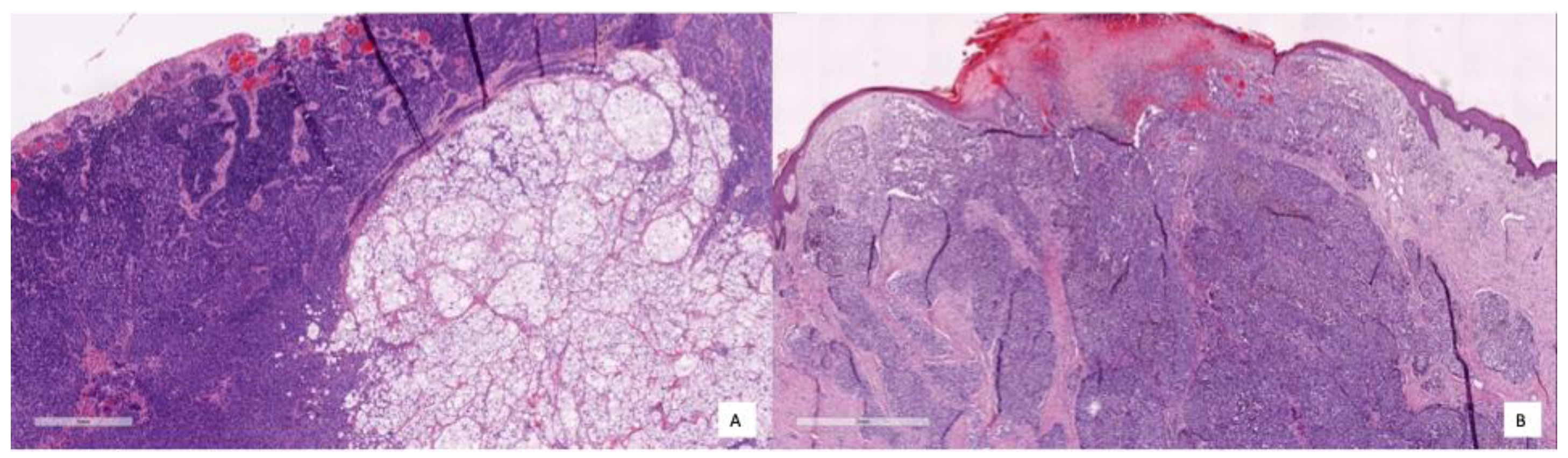 Technologies 13 00330 g009
