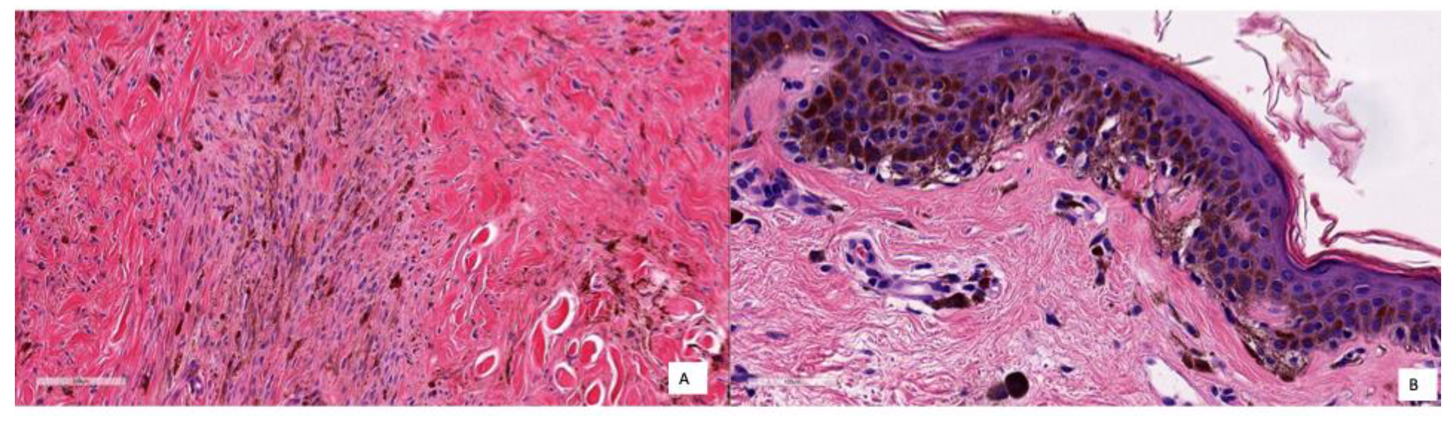 Technologies 13 00330 g010