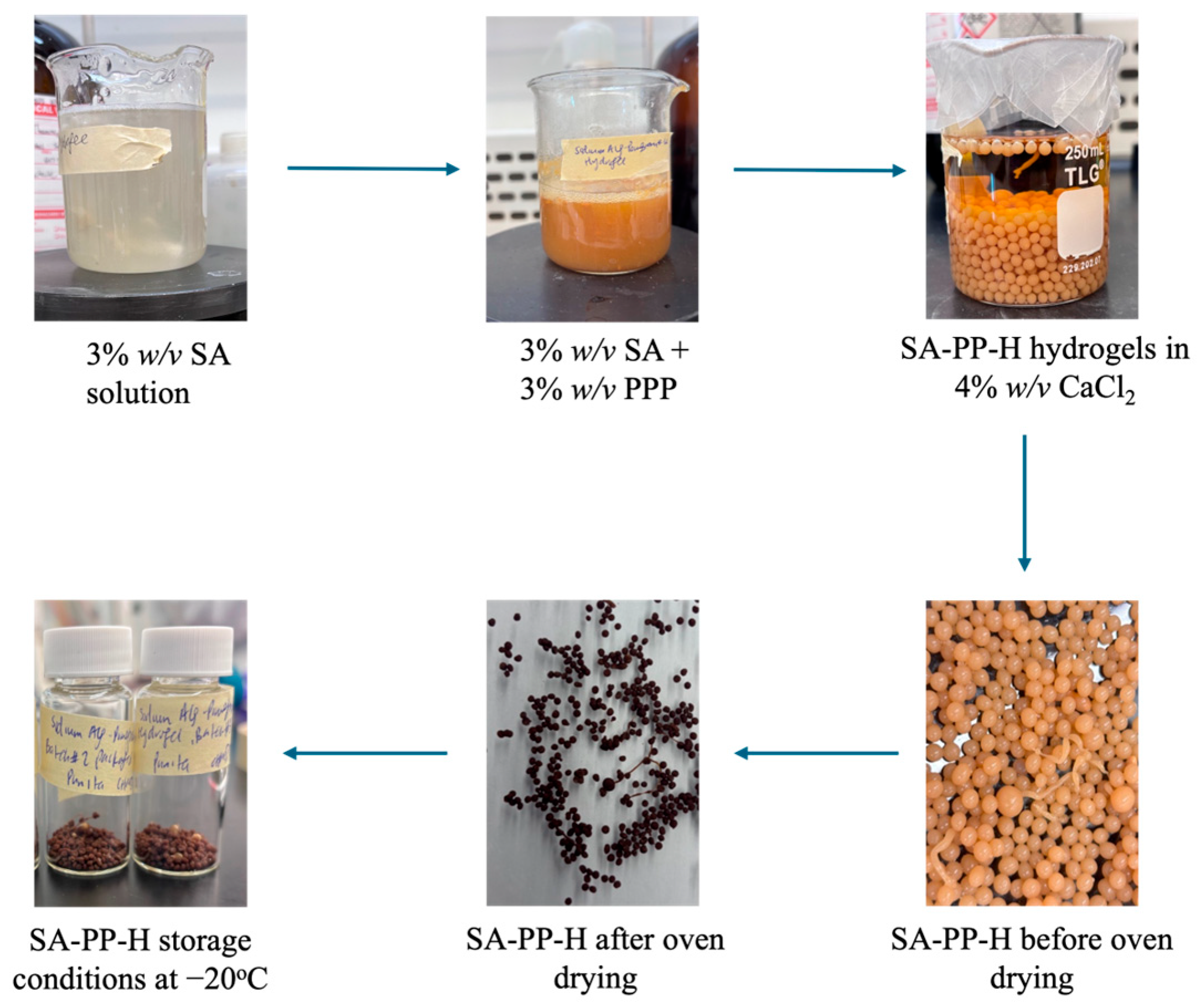 Technologies 13 00351 g001 Technologies 13 00351 g001