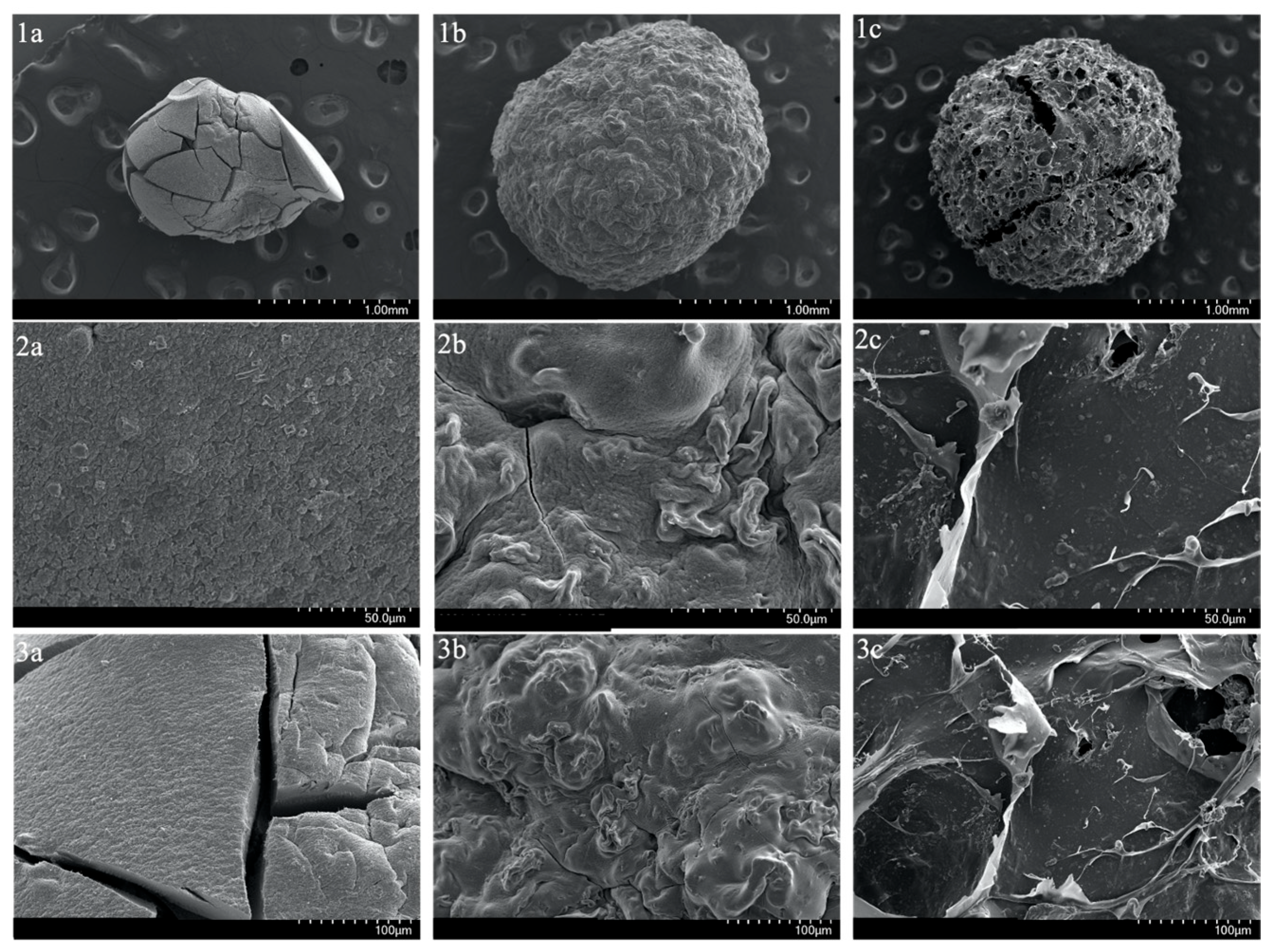 Technologies 13 00351 g003 Technologies 13 00351 g003