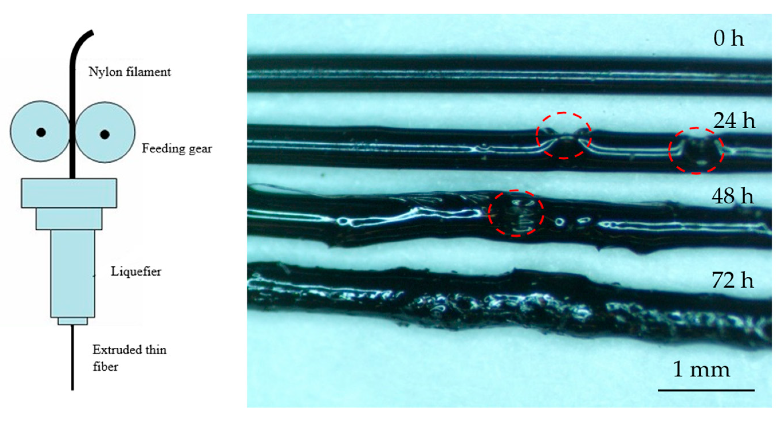 Technologies 13 00376 g002