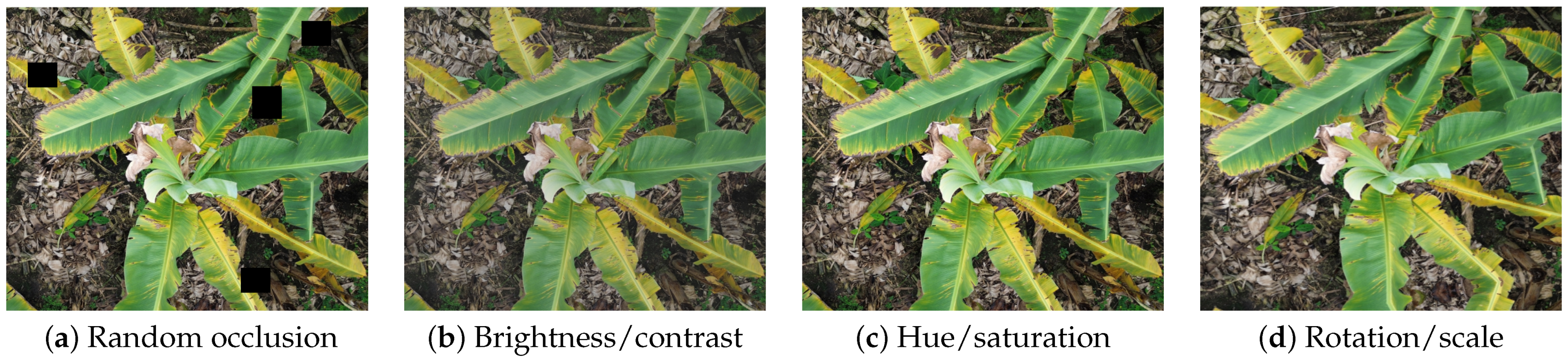 Technologies 13 00382 g003 Technologies 13 00382 g003