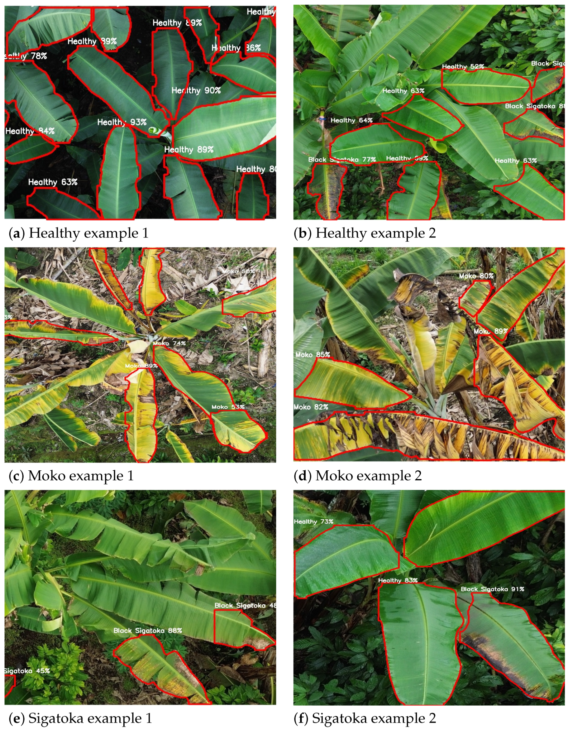 Technologies 13 00382 g009 Technologies 13 00382 g009