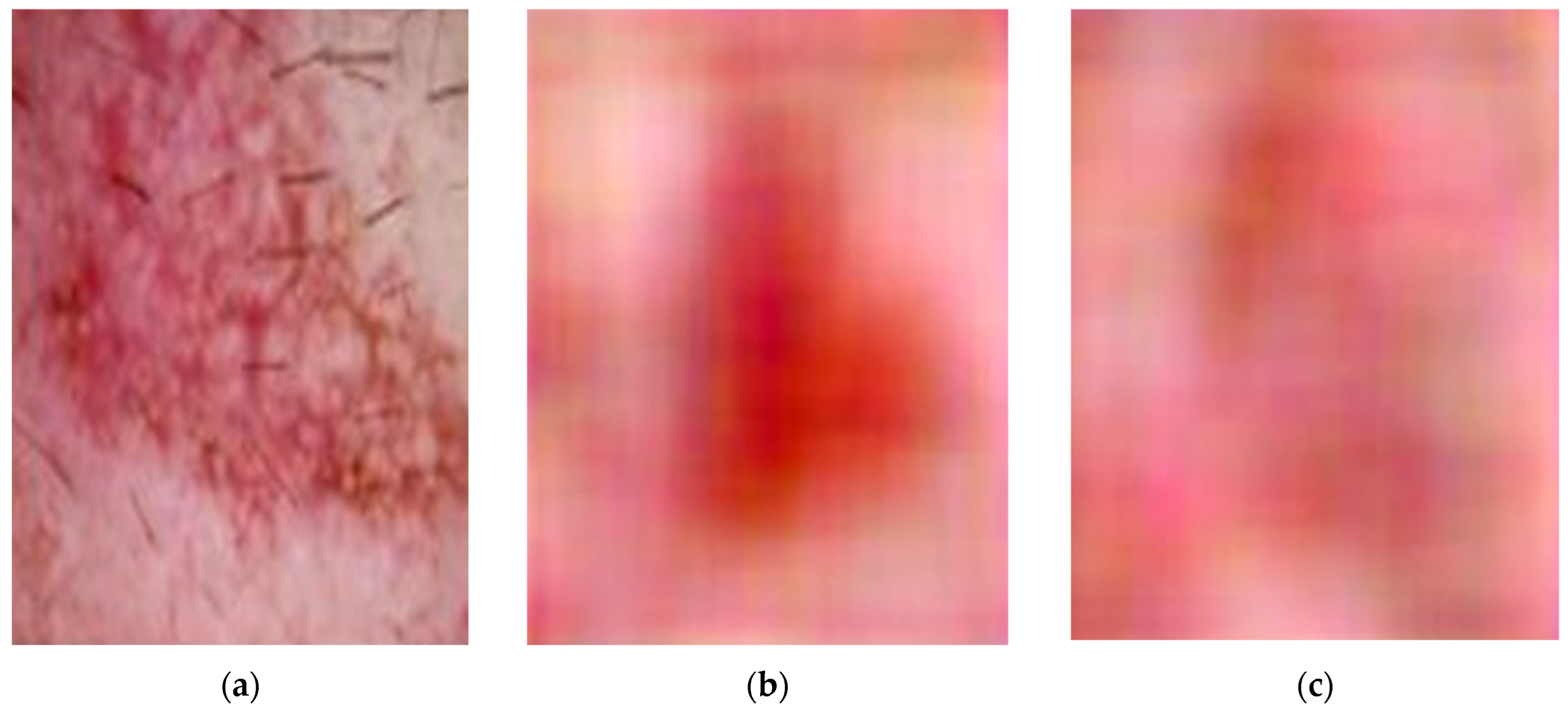 Technologies 13 00401 g004