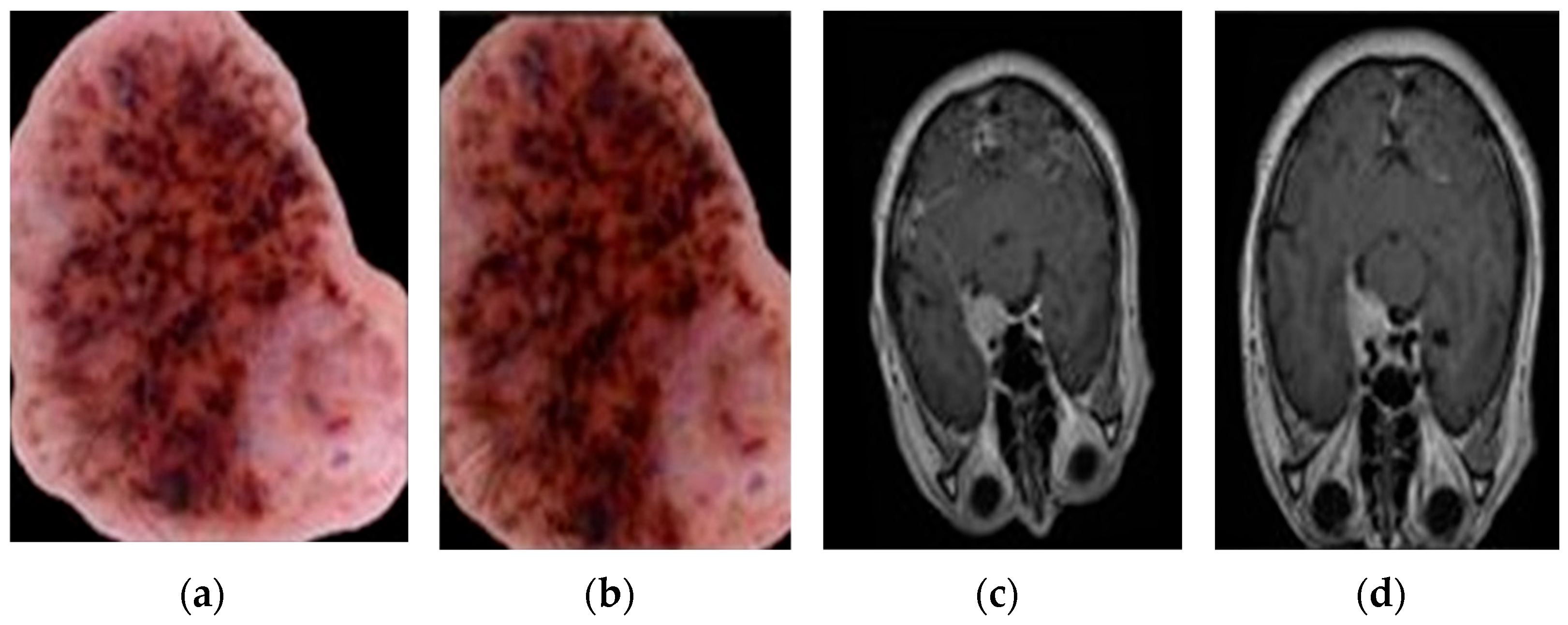 Technologies 13 00401 g005