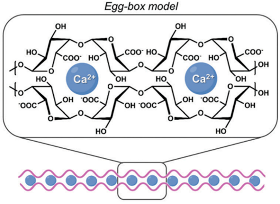Technologies 13 00403 g003