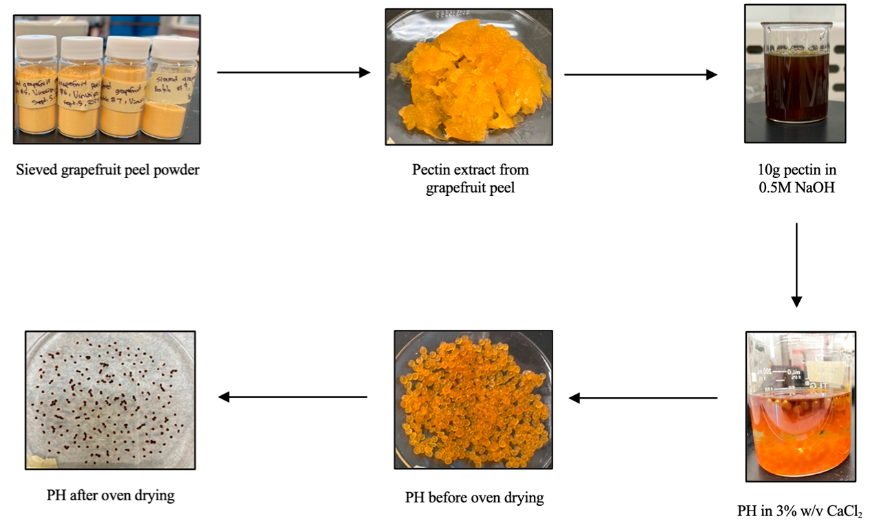 Technologies 13 00403 g004