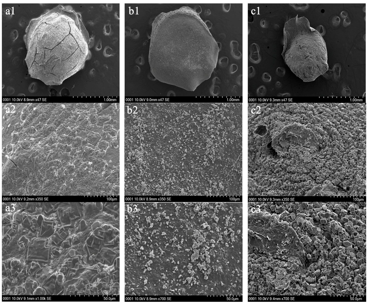 Technologies 13 00403 g006