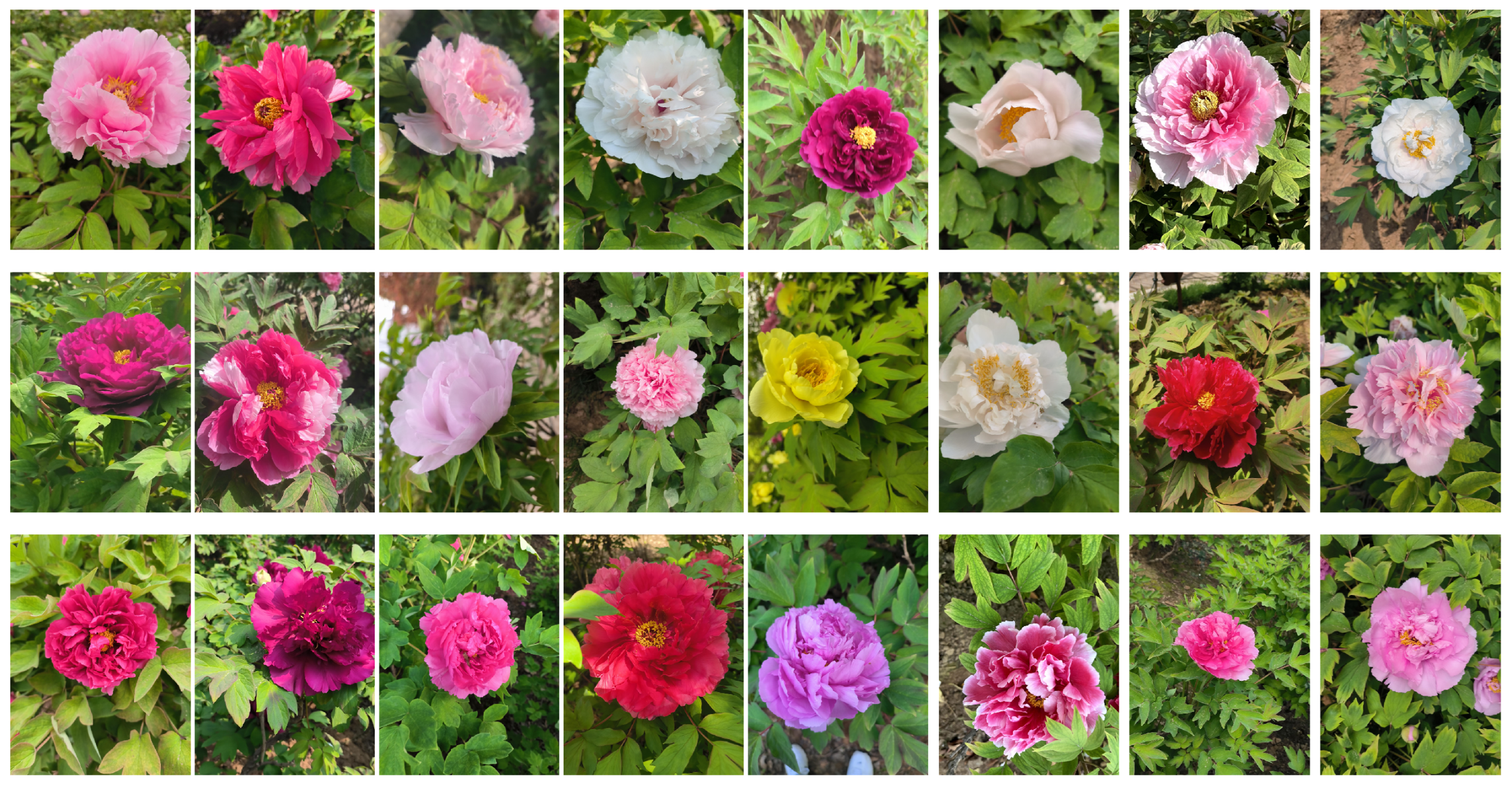 Technologies 13 00414 g001 Technologies 13 00414 g001