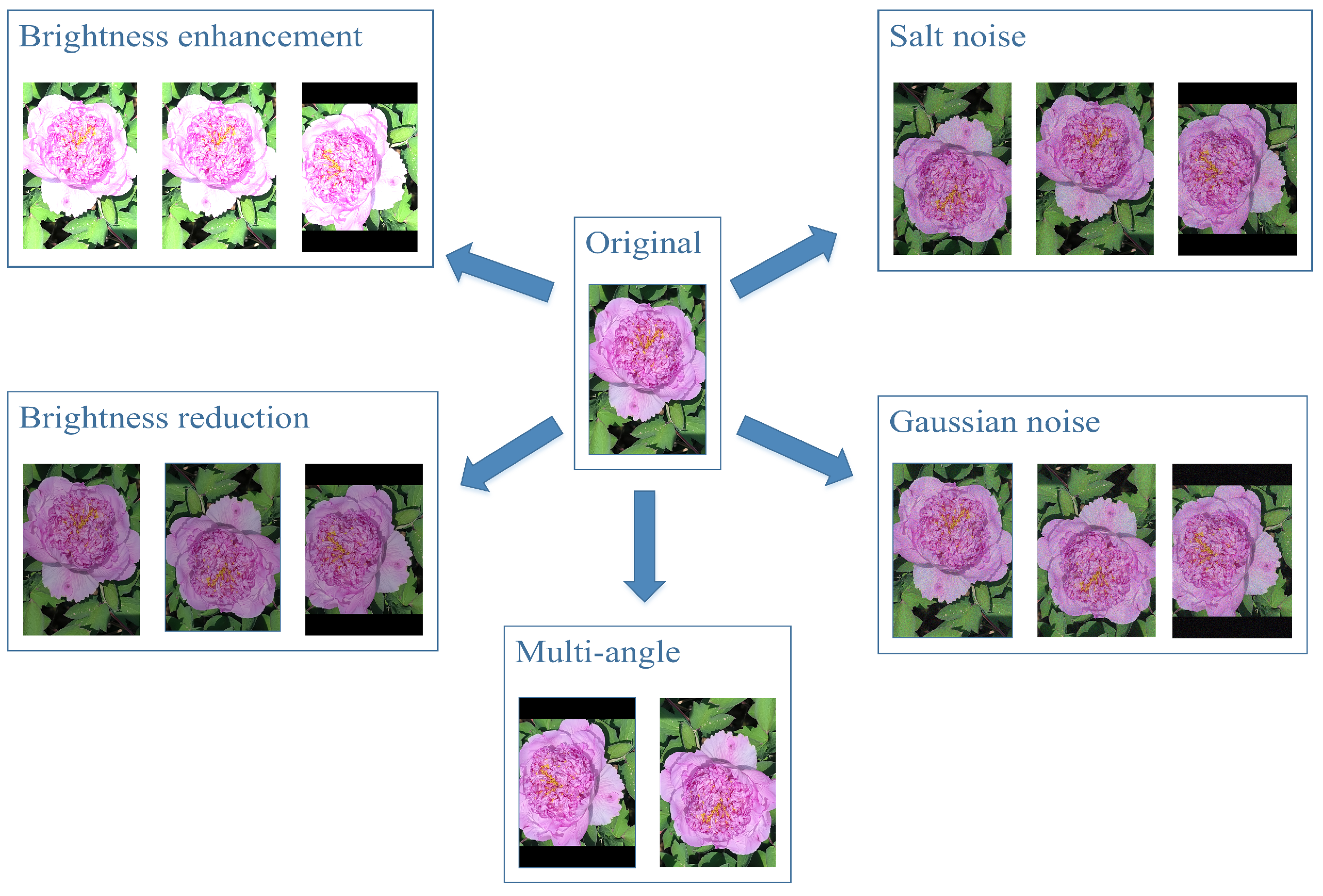 Technologies 13 00414 g002 Technologies 13 00414 g002