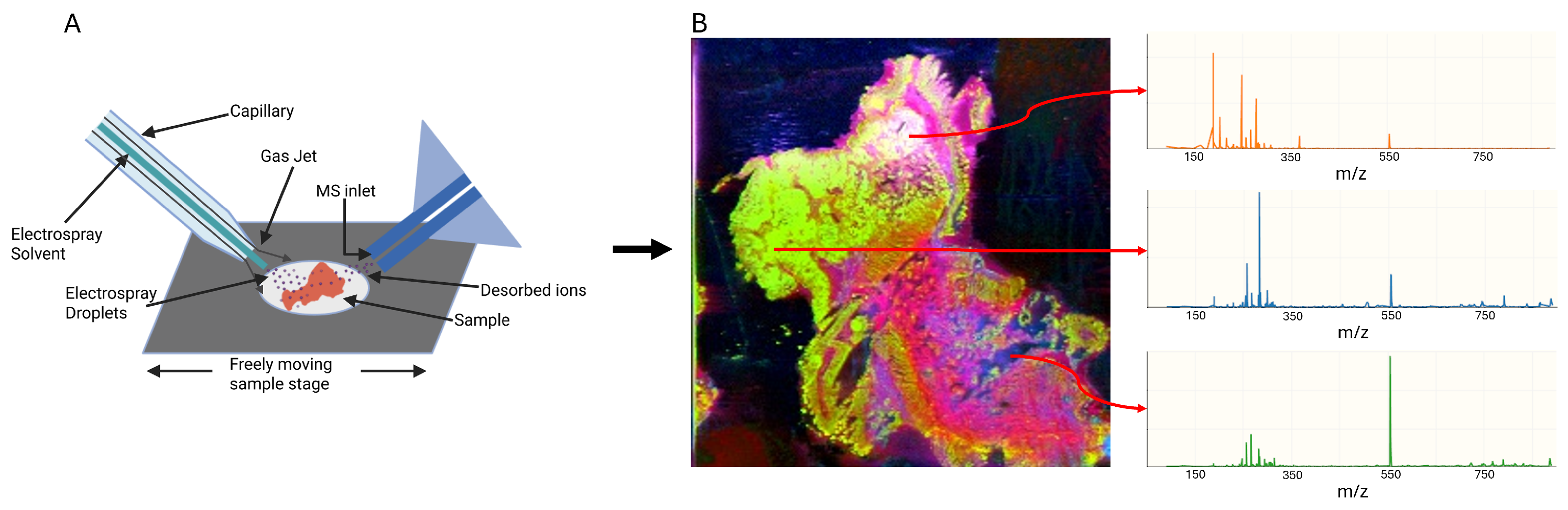 Technologies 13 00434 g002