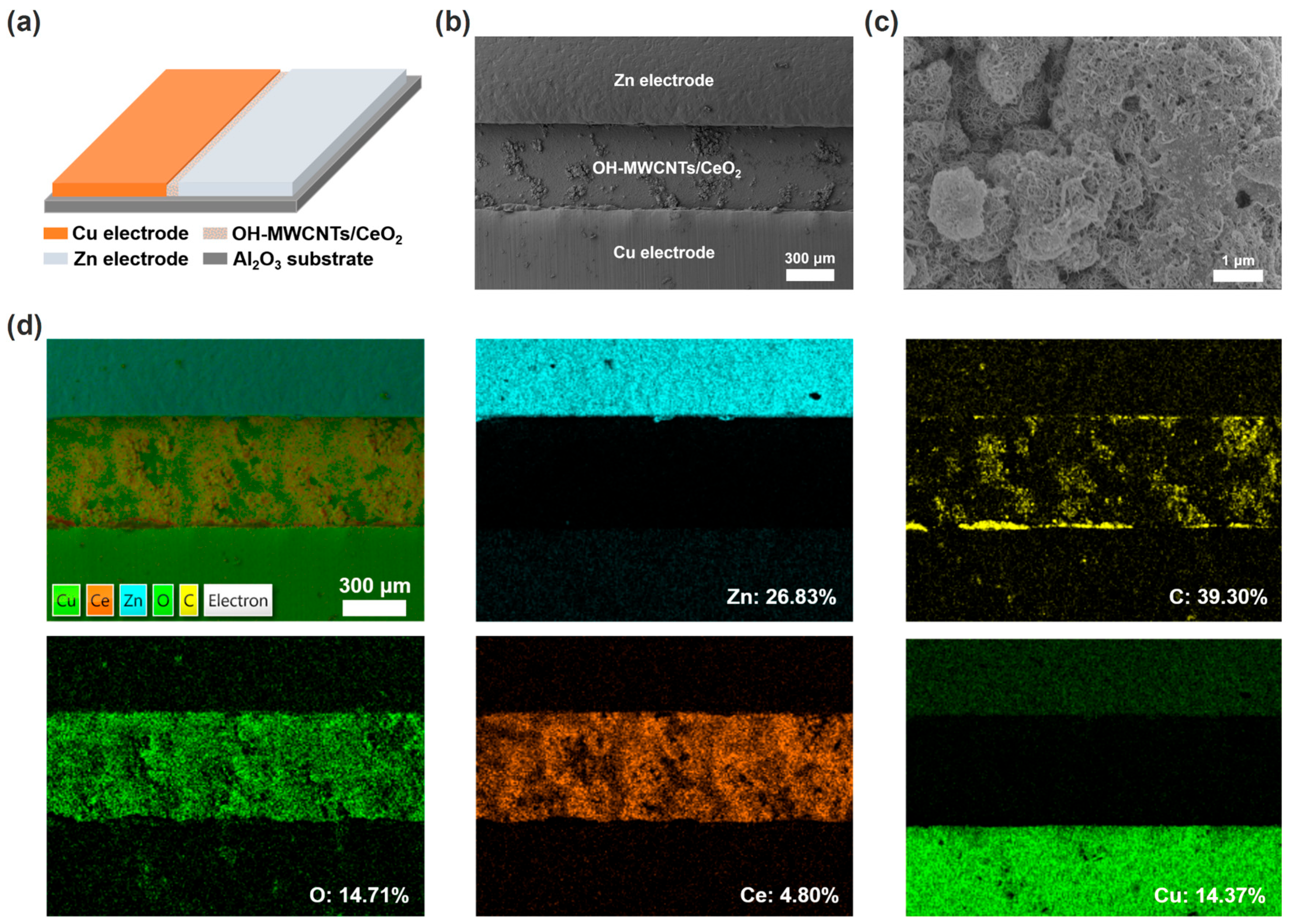 Technologies 13 00467 g001