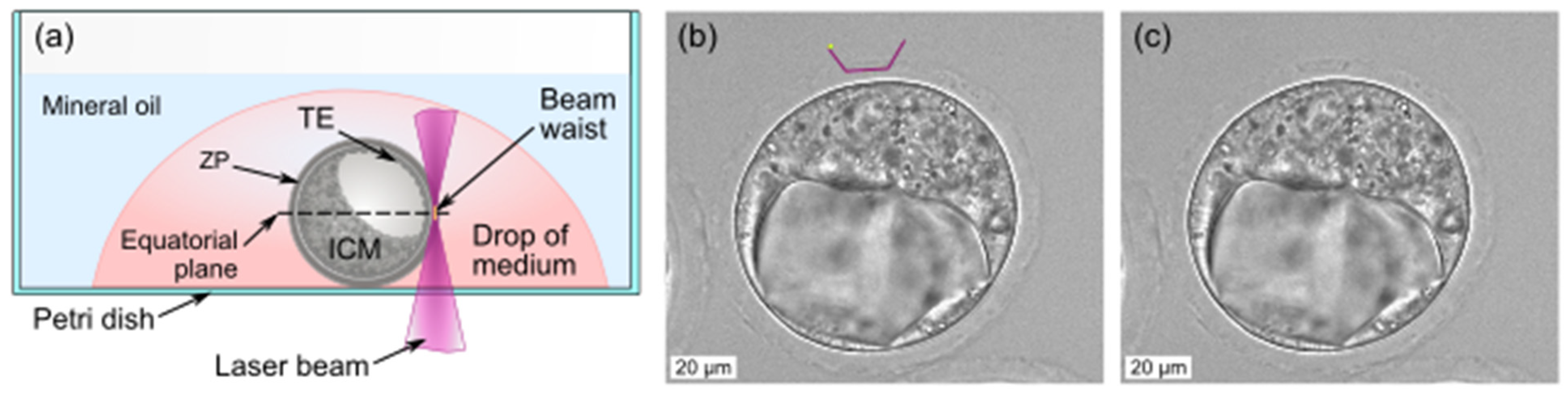 Technologies 13 00483 g002