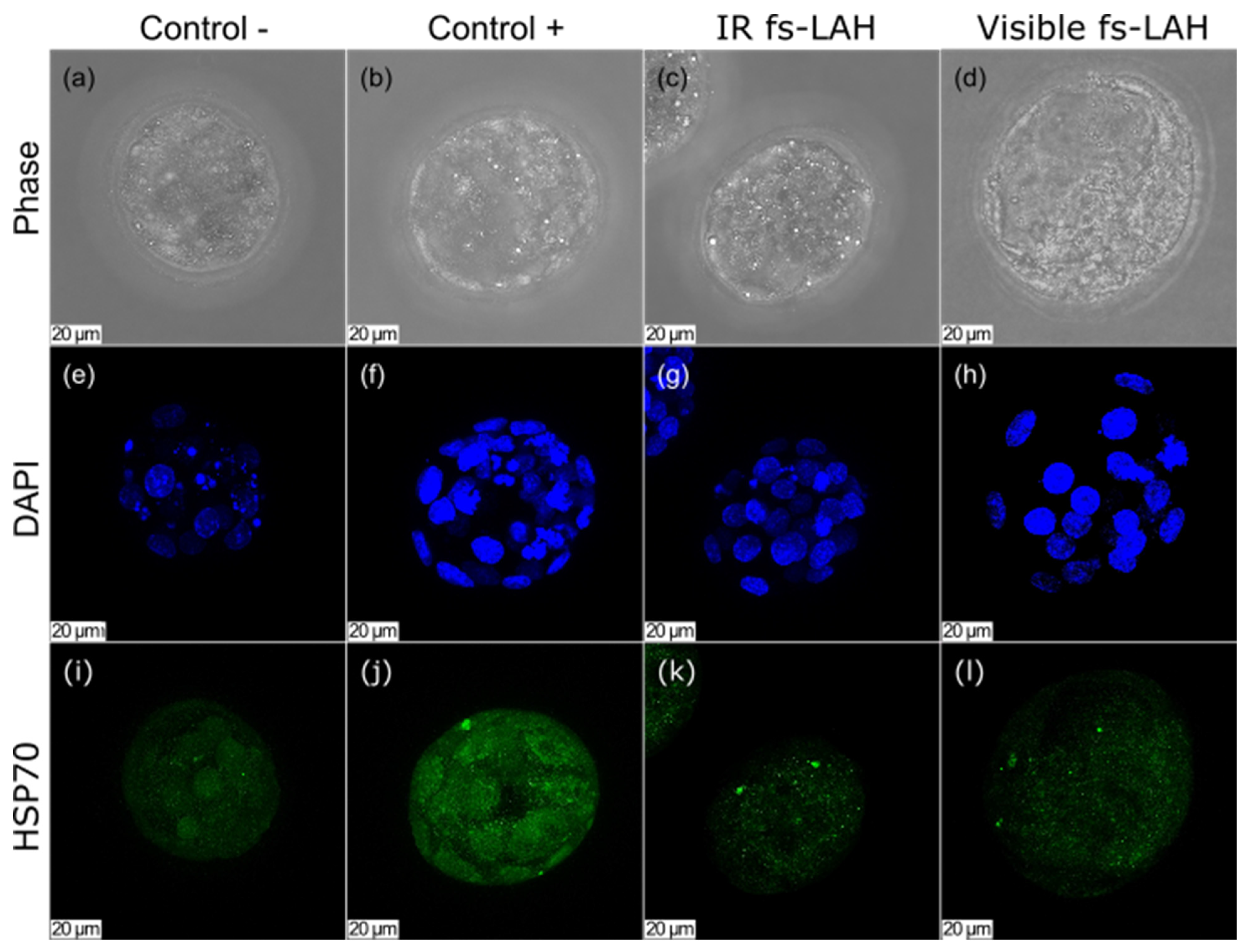 Technologies 13 00483 g004