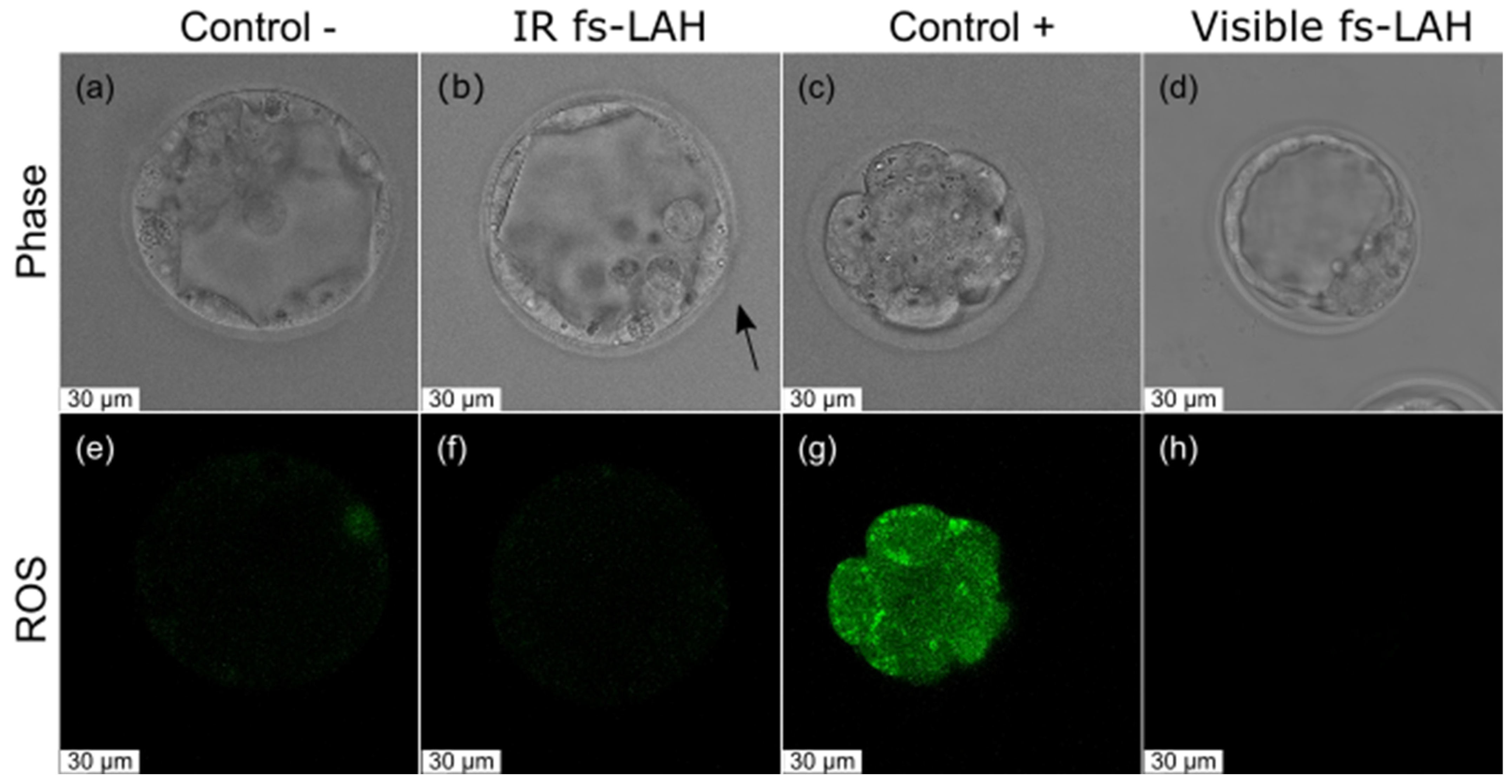 Technologies 13 00483 g005