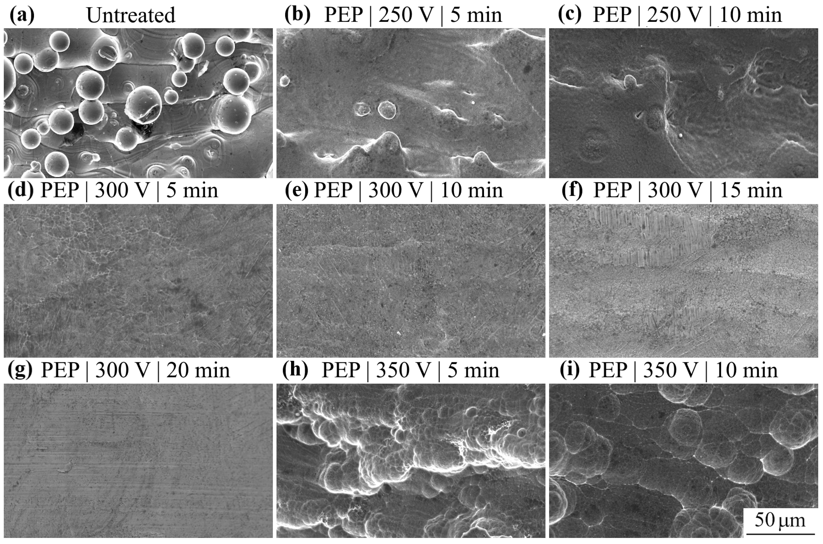 Technologies 13 00553 g002 Technologies 13 00553 g002