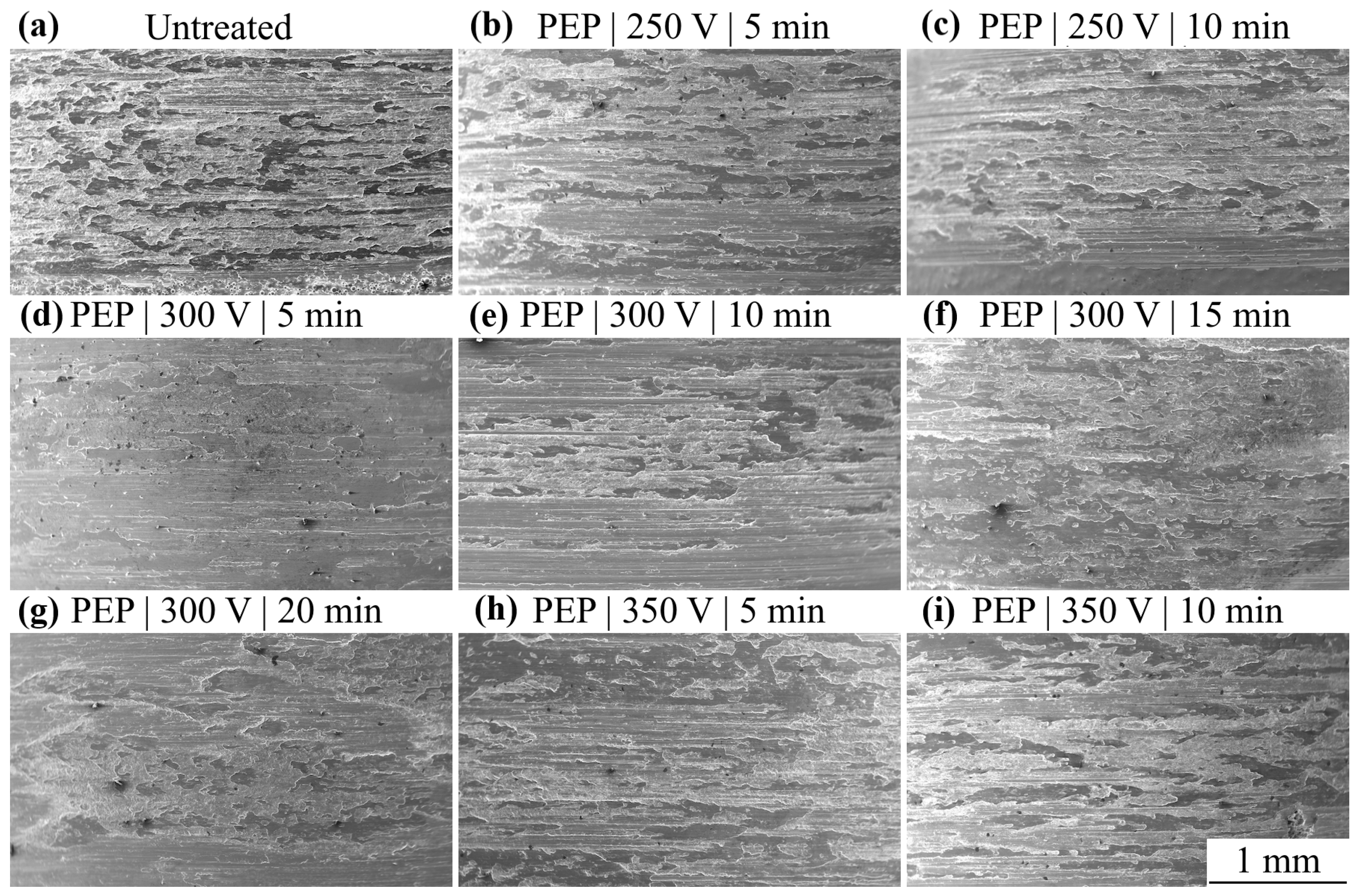 Technologies 13 00553 g009 Technologies 13 00553 g009