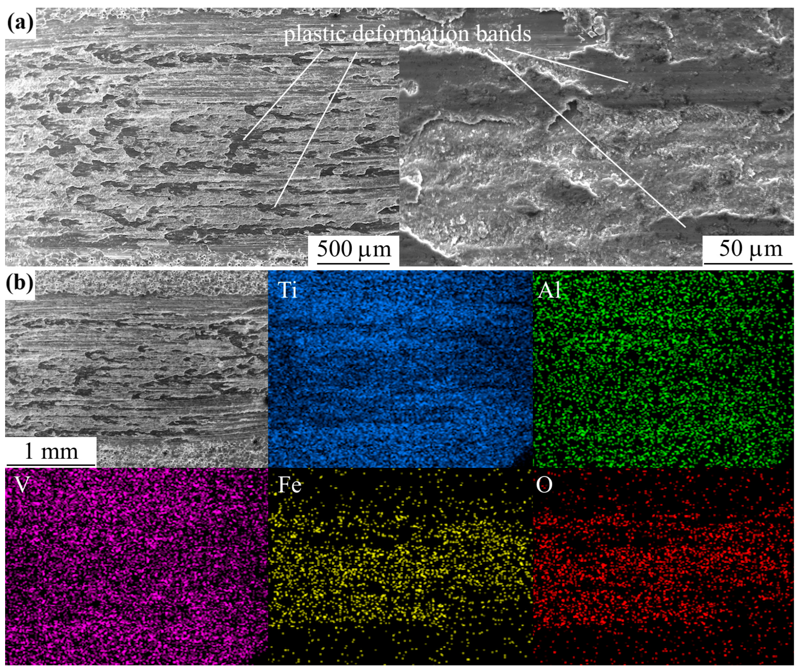 Technologies 13 00553 g010 Technologies 13 00553 g010