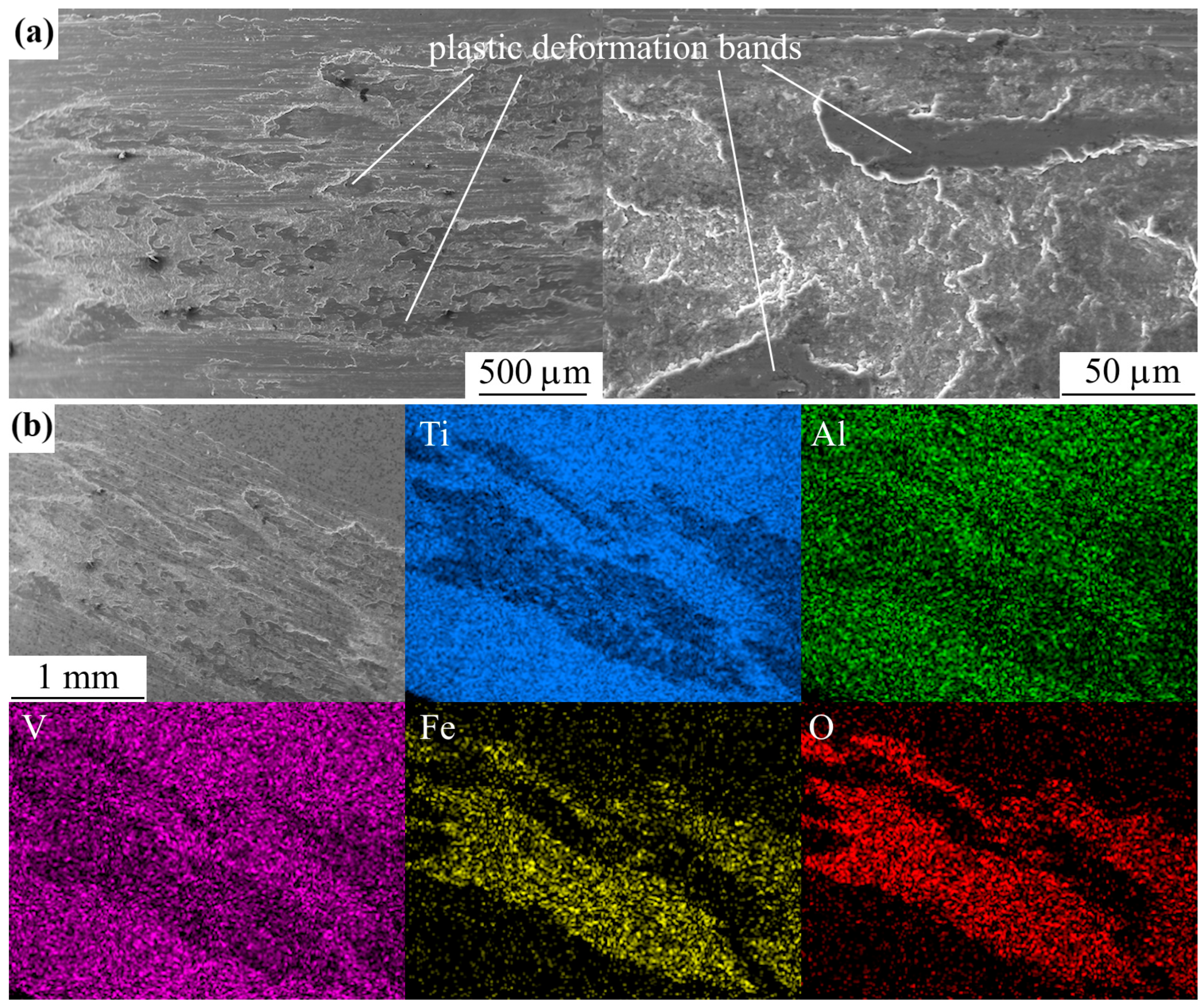 Technologies 13 00553 g011 Technologies 13 00553 g011
