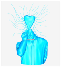 Technologies 13 00577 i034 Technologies 13 00577 i034