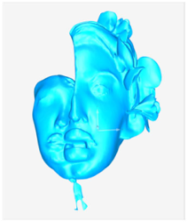 Technologies 13 00577 i053 Technologies 13 00577 i053