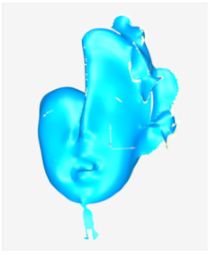 Technologies 13 00577 i054 Technologies 13 00577 i054