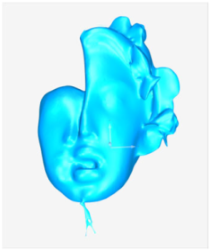 Technologies 13 00577 i055 Technologies 13 00577 i055