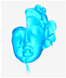 Technologies 13 00577 i056 Technologies 13 00577 i056