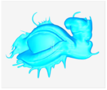 Technologies 13 00577 i059 Technologies 13 00577 i059