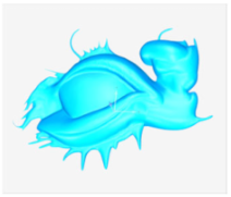 Technologies 13 00577 i062 Technologies 13 00577 i062