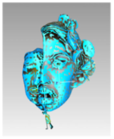 Technologies 13 00577 i076 Technologies 13 00577 i076