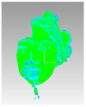 Technologies 13 00577 i084 Technologies 13 00577 i084