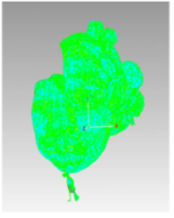 Technologies 13 00577 i085 Technologies 13 00577 i085