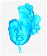 Technologies 13 00577 i098 Technologies 13 00577 i098