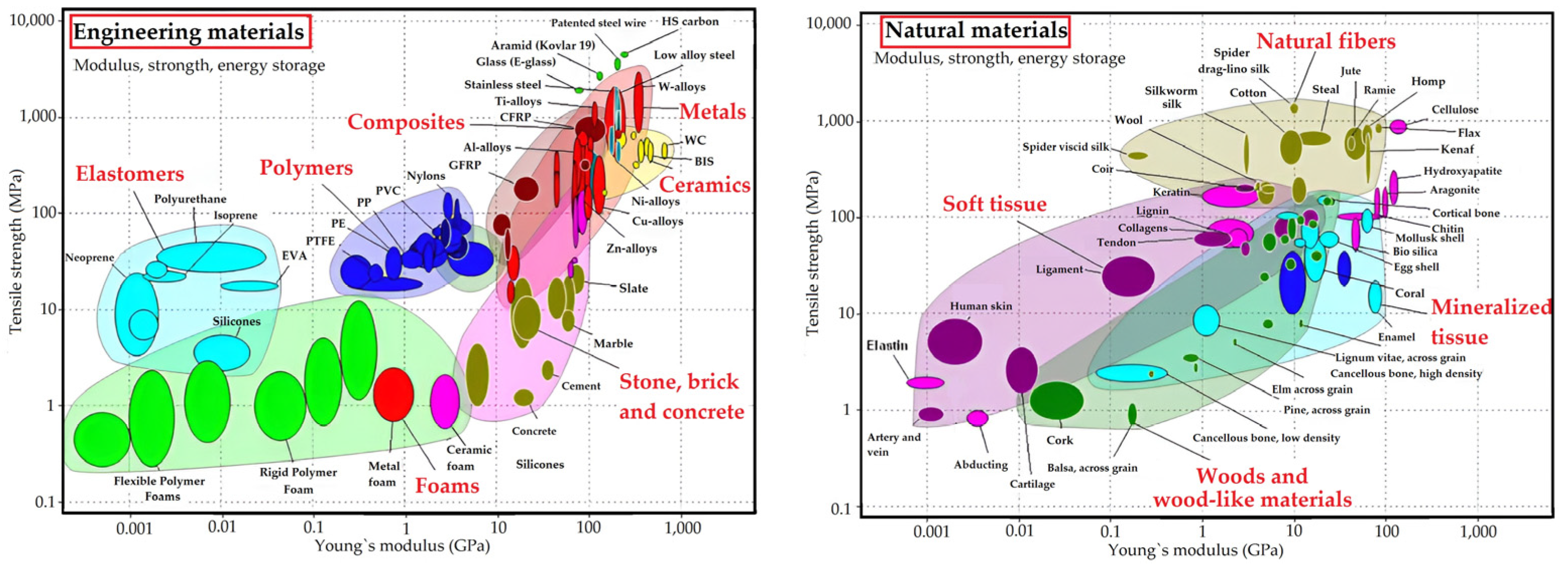 Technologies 13 00582 g002