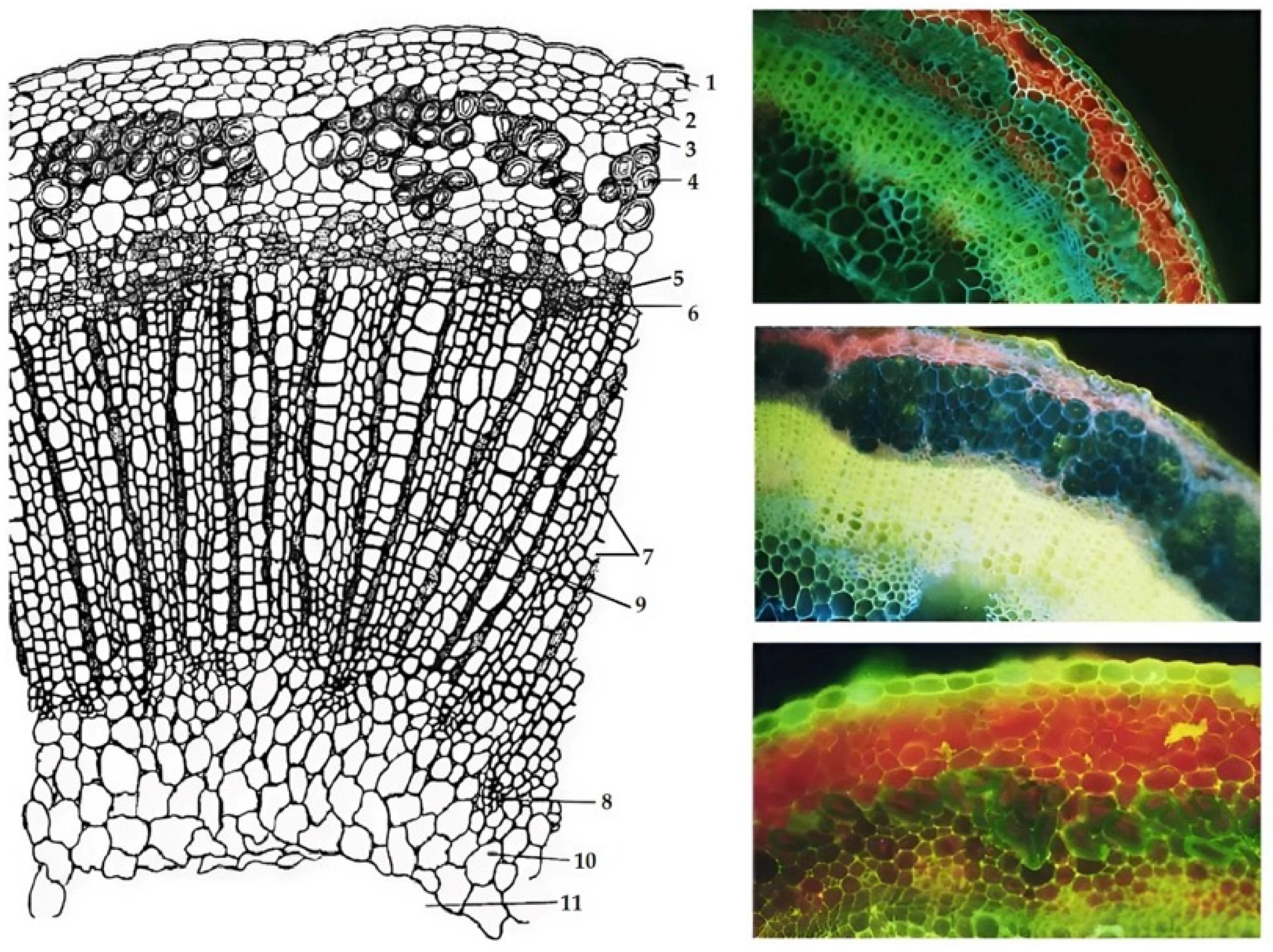 Technologies 13 00582 g004