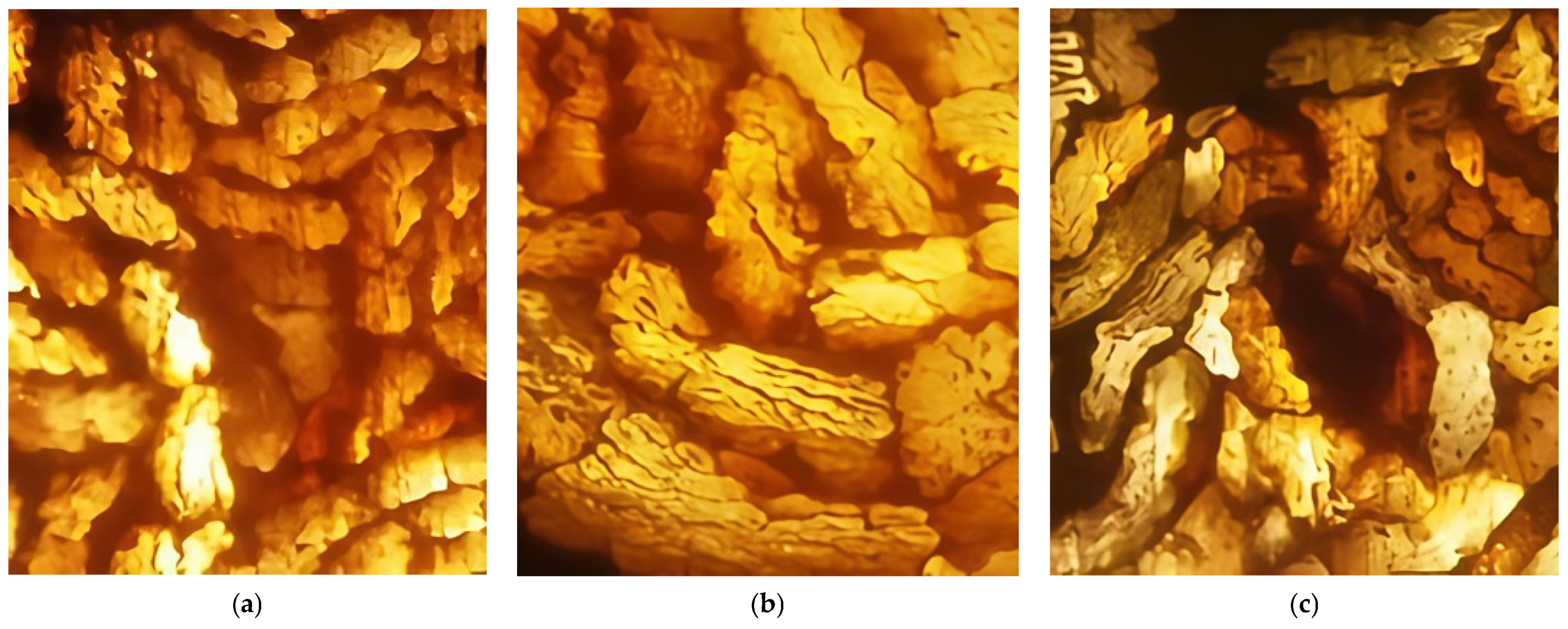 Technologies 13 00582 g005