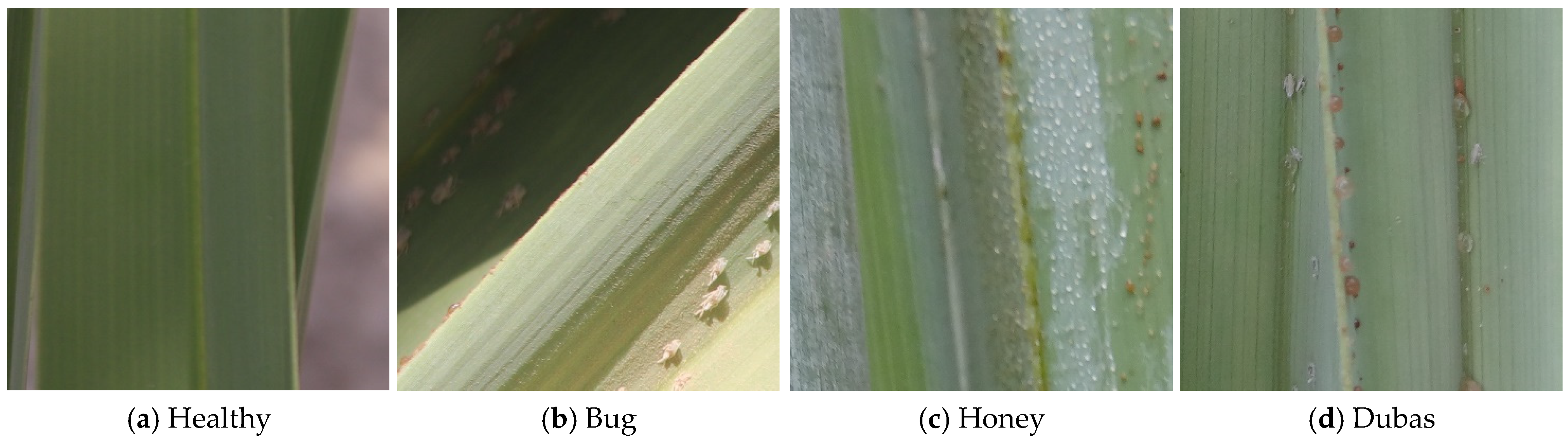 Technologies 13 00596 g001