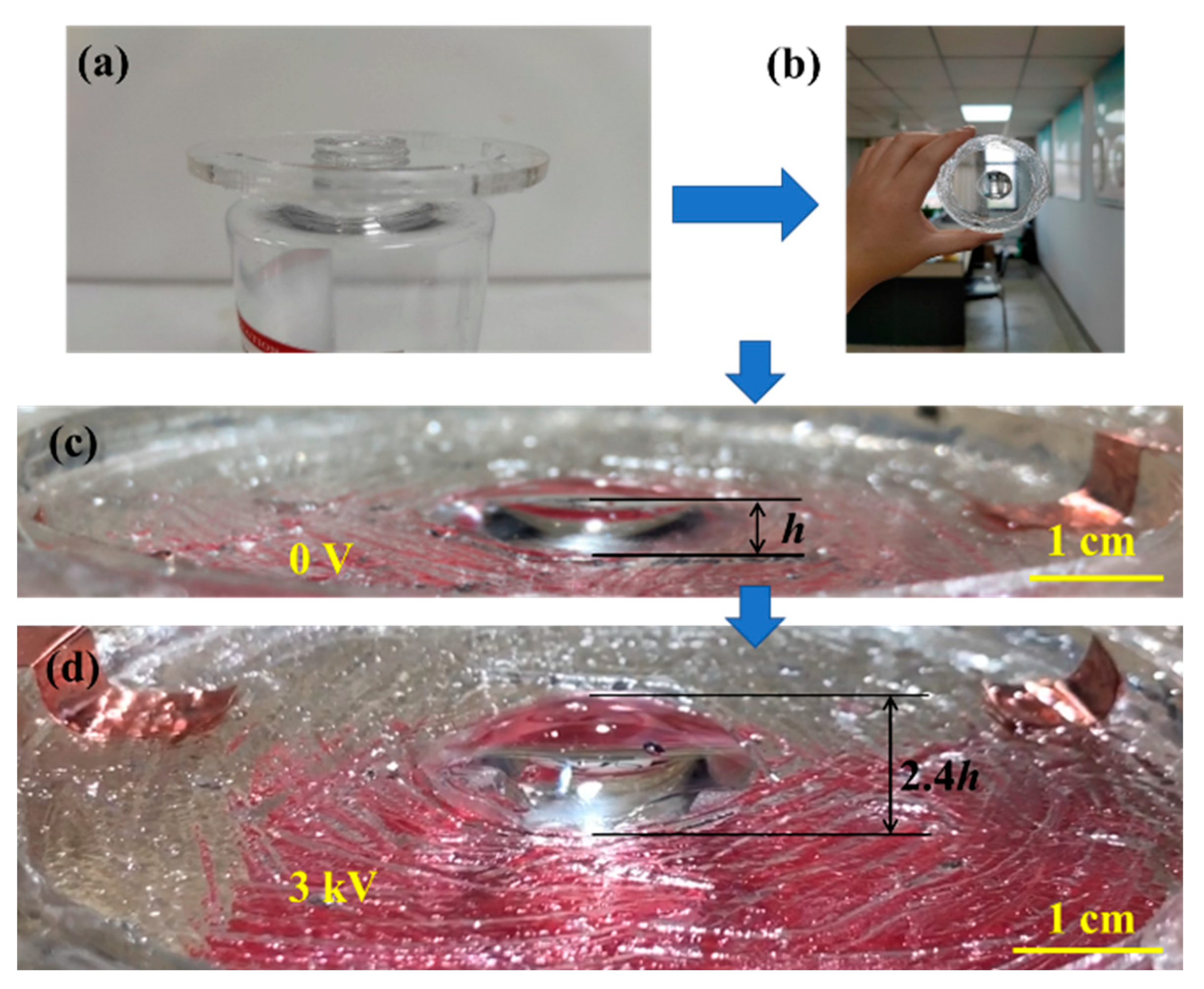 Technologies 14 00068 g002