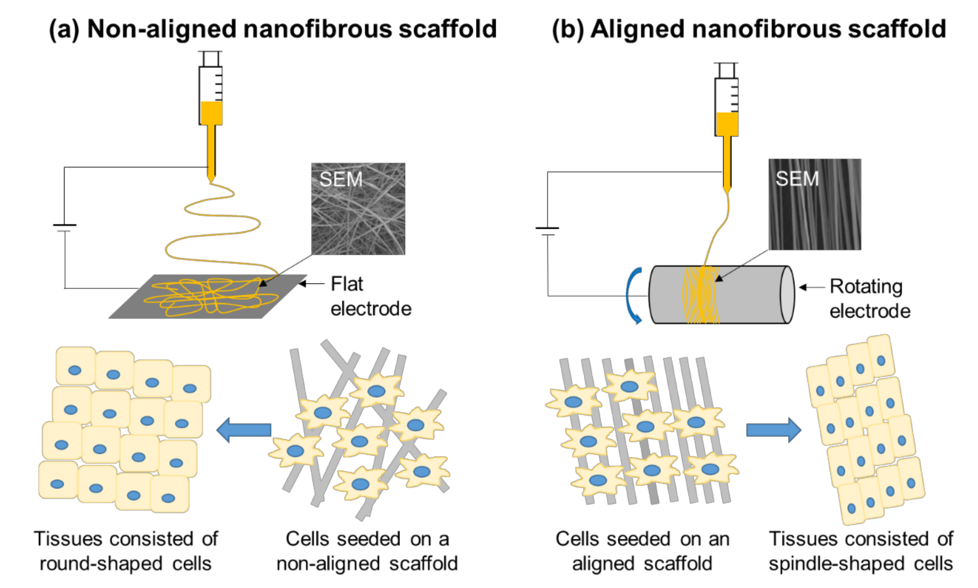Textiles 01 00007 g005