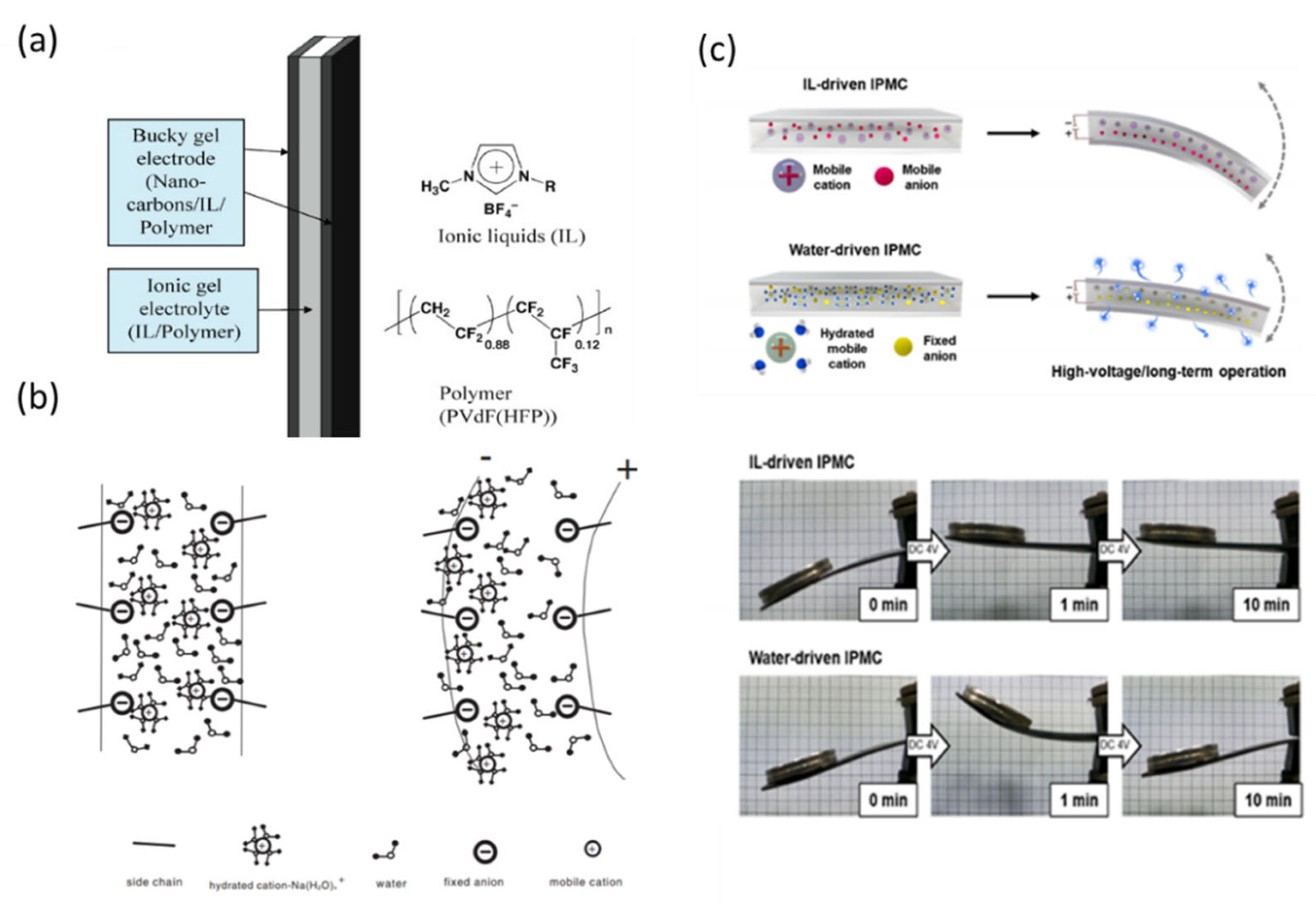 Textiles 01 00015 g014 Textiles 01 00015 g014