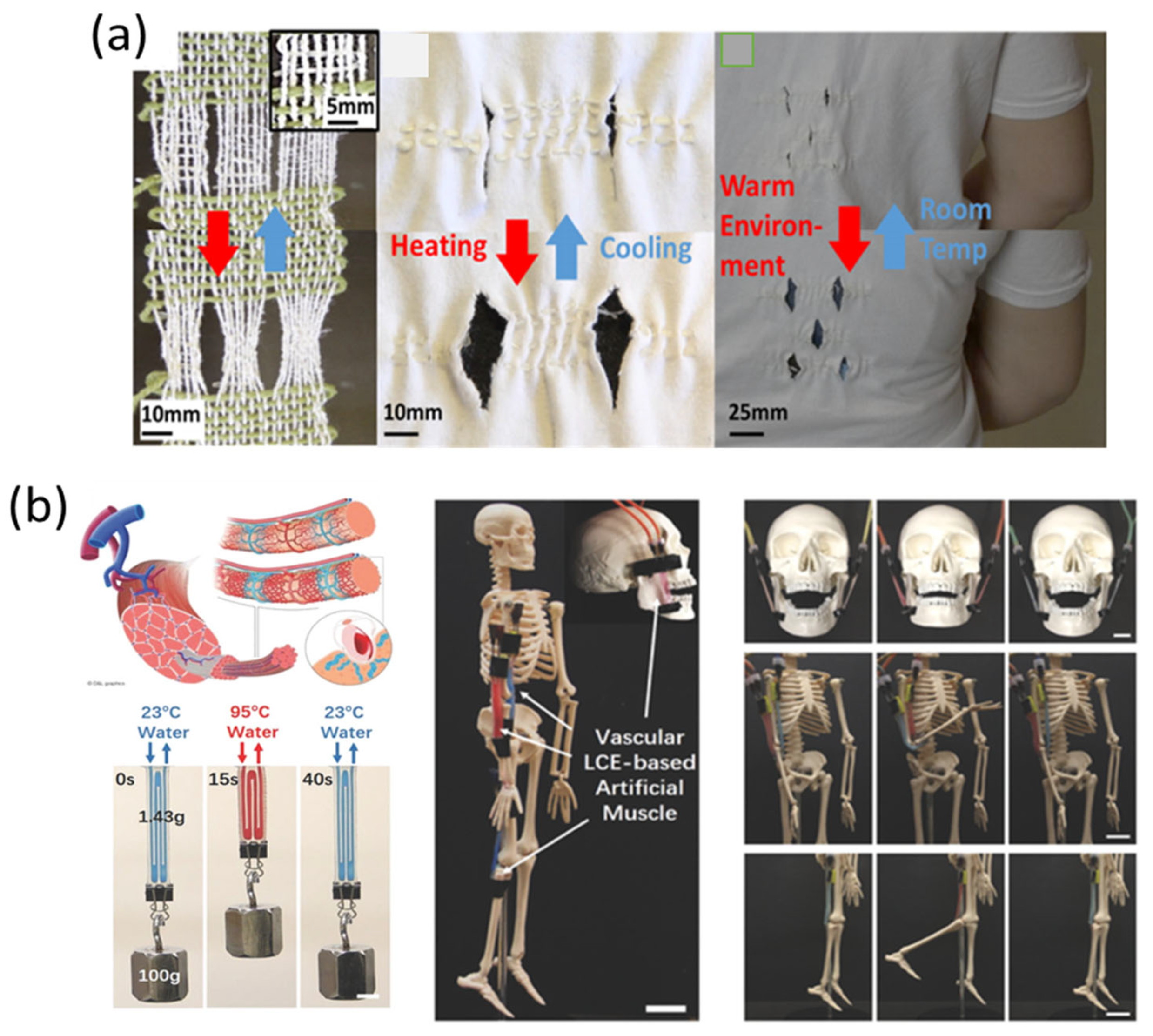 Textiles 01 00015 g024 Textiles 01 00015 g024