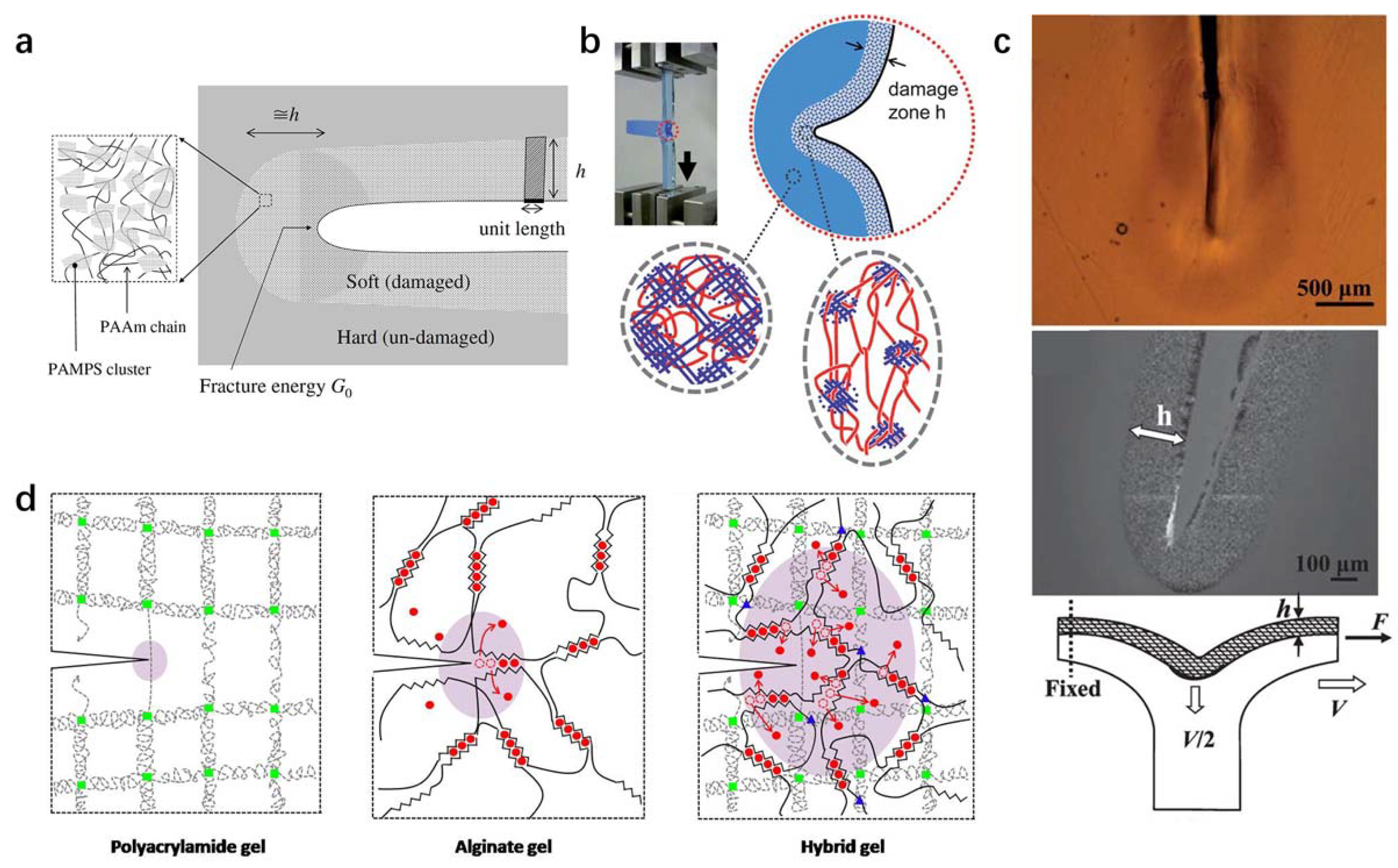 Textiles 01 00027 g011