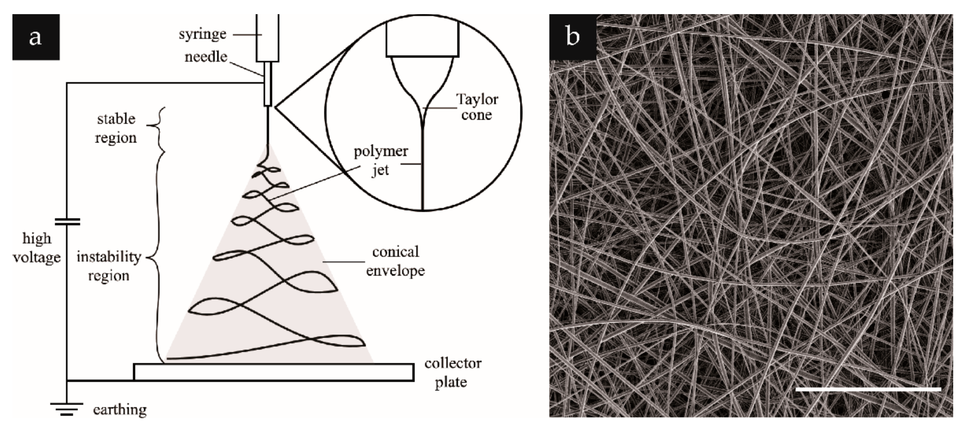 Textiles 02 00007 g001