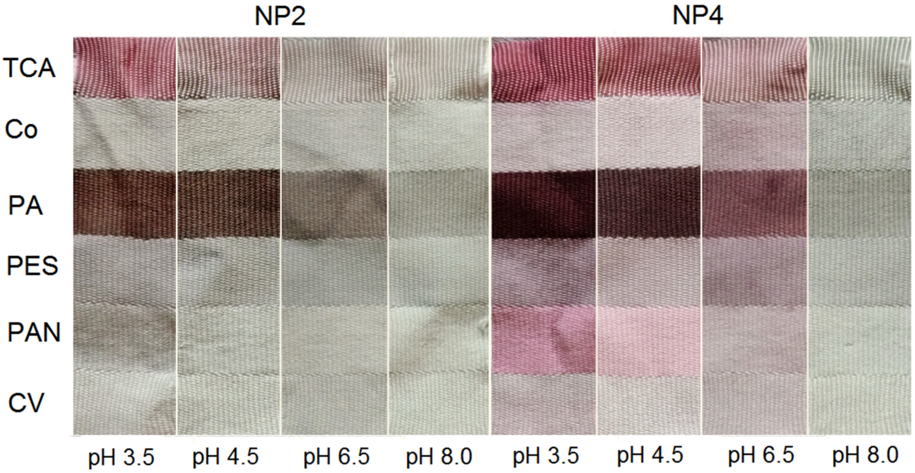 Textiles 02 00013 g005