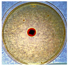 Textiles 02 00026 i001 Textiles 02 00026 i001